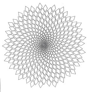 CREATIVE’s BLOK: Sacred Geometry | Sacred geometry, Fibonacci spiral,  Geometry art
